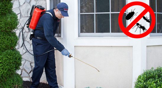 Maçka Hamam Böceği İlaçlama böcek ilaçlama ve haşere kontrolü — ilaclama-tr.com